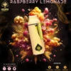 Ace Ultra Raspberry Lemonade sativa-dominant cannabis strain with sweet citrus and raspberry flavorAce Ultra Premium 2g Raspberry Lemonade sativa-dominant cannabis strain with sweet citrus and raspberry flavor