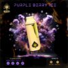 Purple Berry Ice – Ace Ultra Premium Disposable Vape 2g