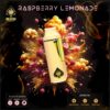 Raspberry Lemonade – Ace Ultra Premium Disposable Vape 2g
